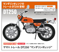 Yamaha DT250